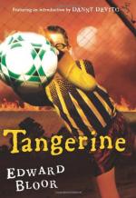 Tangerine by 