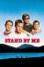 Stand by Me, The Journey Taken by Main Characters Student Essay and Film Summary by Rob Reiner
