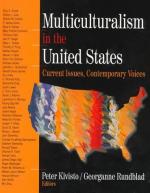 Multiculturalism in the United States by 
