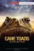 Cane Toads Student Essay