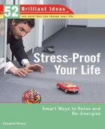 Describe and Analyze Research Into Some of the Major Sources of Stress by 