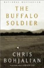 Buffalo Soldiers by 