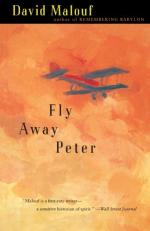 Fly Away Peter by 