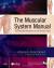 The Muscular System Student Essay and Encyclopedia Article