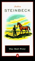 The Red Pony: An Analysis of Symbols and Themes in Chapter IV by John Steinbeck