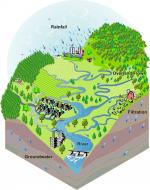 Different Environmental Ecosystems by 
