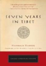 Seven Years in Tibet - a Reflection by 