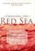 "Crossing the Red Sea" Student Essay