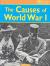 The Role of the Alliance System in Causing the First World War Student Essay