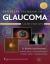 Glaucoma Student Essay and Encyclopedia Article