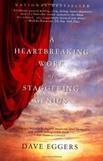 Review of a Heartbreaking Work of Staggering Genius by Dave Eggers