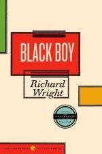 Themes in the Novel "Black Boy" by Richard Wright