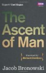 "the Ascent of Man" [key Passage] Pg. 348 - 351