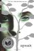 Speak, by Laurie Halse Anderson Student Essay, Study Guide, and Lesson Plans by Laurie Halse Anderson