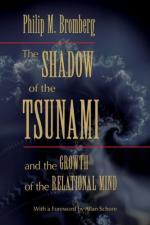 The Nightmare of the Tsunami