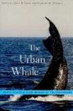 Facts  about Right Whales by 
