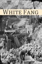 White Fang Essay by Jack London