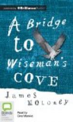 A Bridge to Wiseman's Cove - Book Review by 