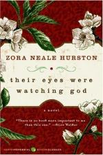 Their Eyes Were Watching God Janie's Journey of Self-discovery by Zora Neale Hurston