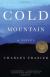 'Cold Mountain' Is Like Homer's 'odyssey'. Which Events Are the Same as in 'cold Mountain' Student Essay, Study Guide, and Lesson Plans by Charles Frazier