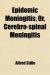 Meningitis Student Essay and Encyclopedia Article