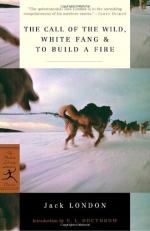 Literary Techniques in "To Build a Fire" by Jack London
