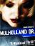 Mulholland Drive Film Summary and Literature Criticism by David Lynch