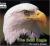 Bald Eagle Encyclopedia Article