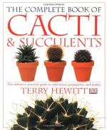 Cacti by 