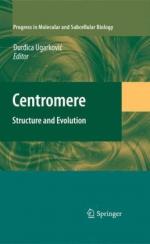 Centromere by 