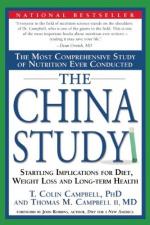 Chinese Perspectives by 