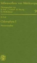 Chlorophyta by 