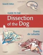 Dissection by 