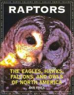 Eagles and Hawks by 