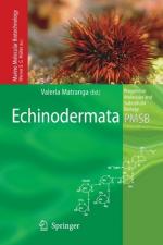 Echinodermata by 