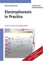Electrophoresis by 