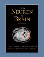 Elucidating the Structure and Workings of the Nervous System by 