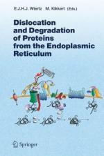 Endoplasmic Reticulum by 