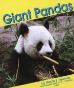 Giant Panda by 