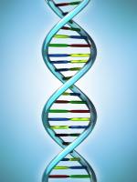 History of Genetics: Modern Genetics by 
