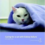 Kidney Failure by 