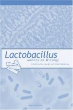 Lactobacillus by 