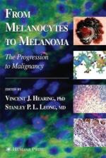 Melanocytes by 
