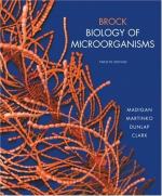 Microbes (Microorganisms) by 