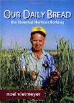 Norman E. Borlaug (1914 - ) American Environmental Activist by 