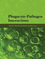 Phagocyte by 