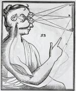 Seventeenth-Century Experimental and Theoretical Advances Regarding the Nature of Light Lay the Foundations of Modern Optics by 