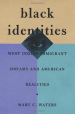 The American Dream in the Twentieth Century by 