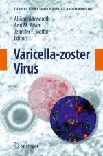 Varicella Zoster Virus by 