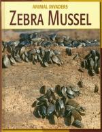 Zebra Mussel by 